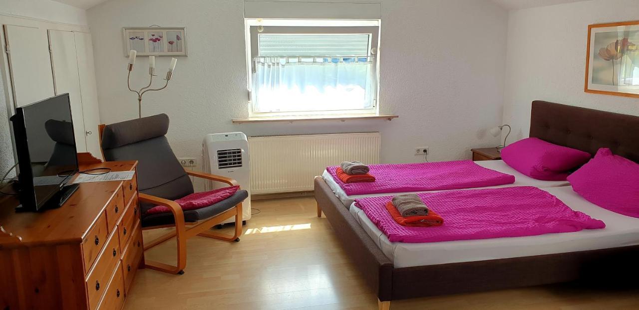 Apartmenthaus "Zum Lowen" Heidelberg - Ziegelhausen 외부 사진