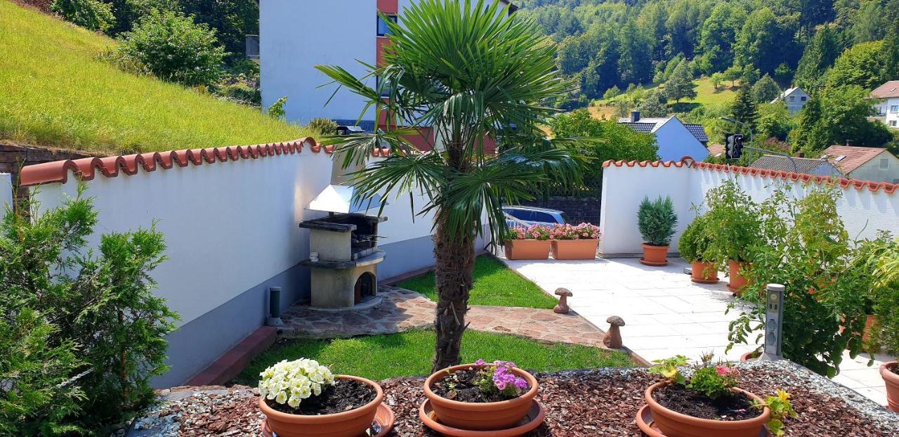Apartmenthaus "Zum Lowen" Heidelberg - Ziegelhausen 외부 사진