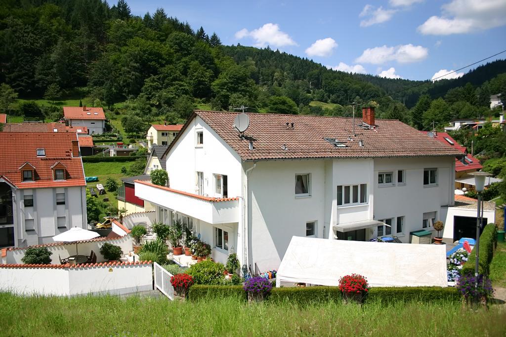 Apartmenthaus "Zum Lowen" Heidelberg - Ziegelhausen 외부 사진