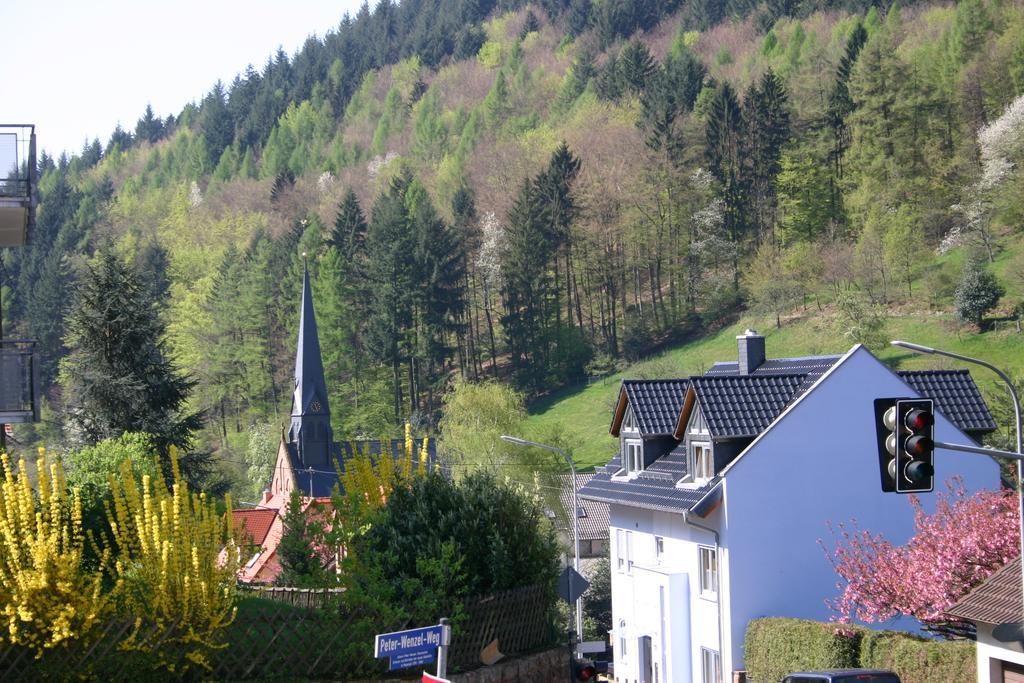 Apartmenthaus "Zum Lowen" Heidelberg - Ziegelhausen 외부 사진