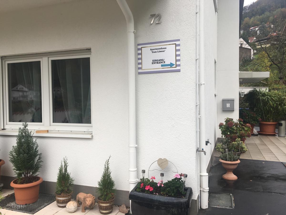 Apartmenthaus "Zum Lowen" Heidelberg - Ziegelhausen 외부 사진