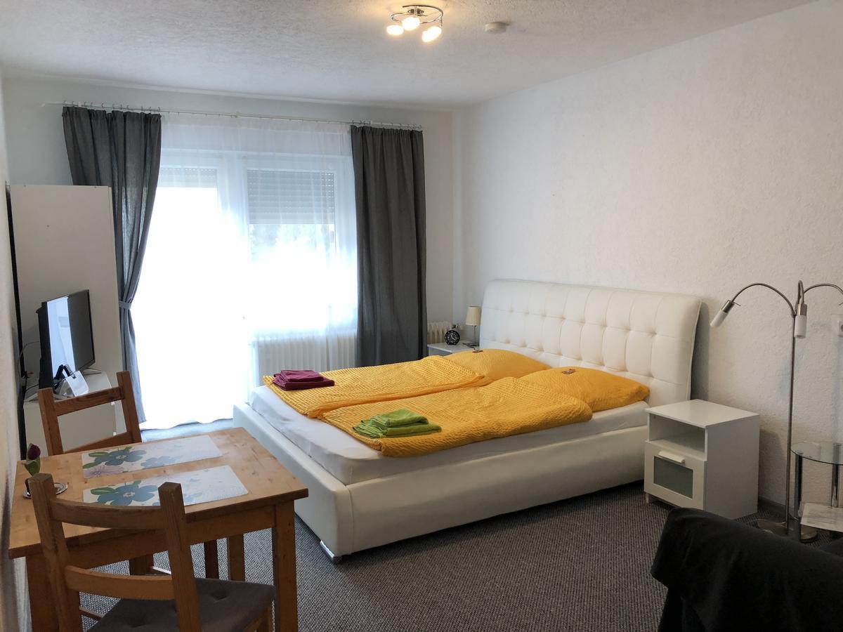 Apartmenthaus "Zum Lowen" Heidelberg - Ziegelhausen 외부 사진