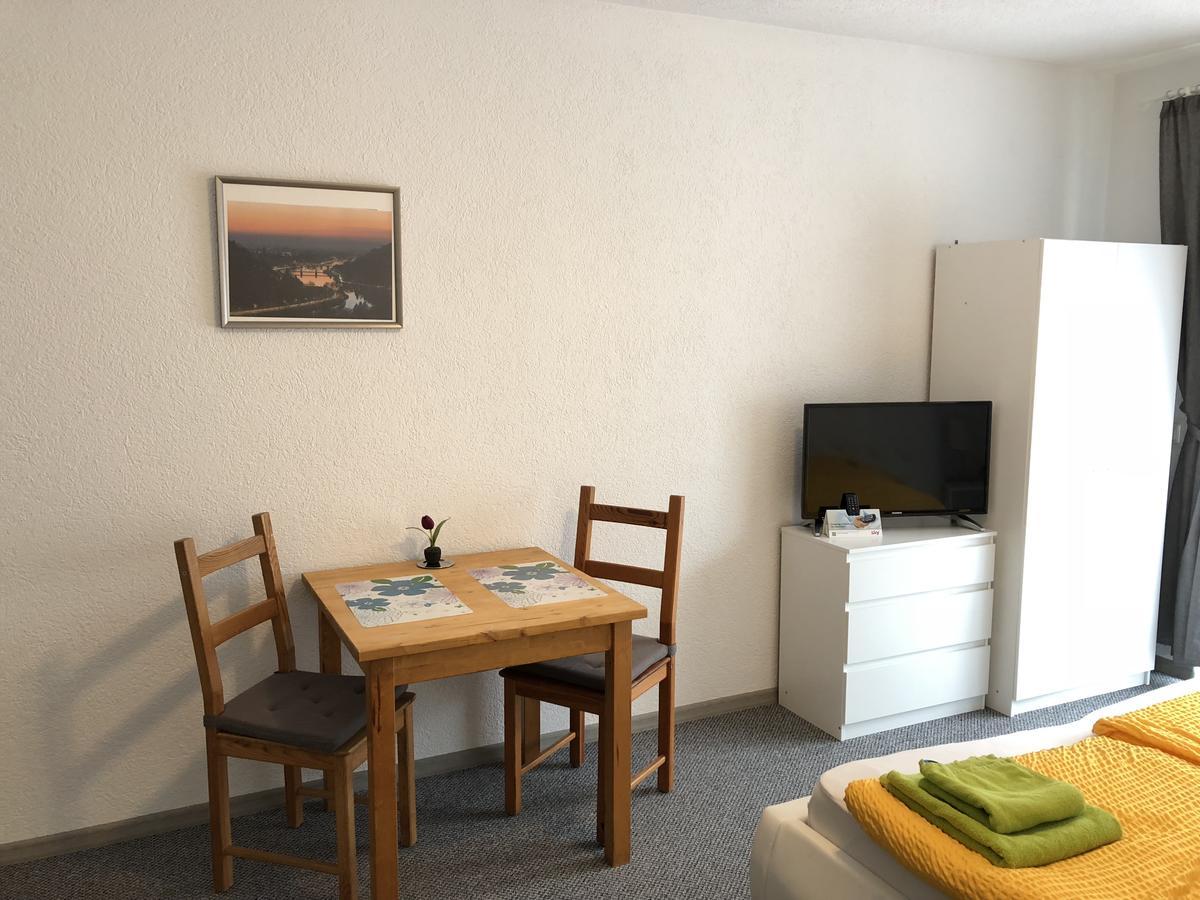 Apartmenthaus "Zum Lowen" Heidelberg - Ziegelhausen 외부 사진